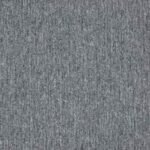 MS 001