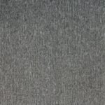 MS 008