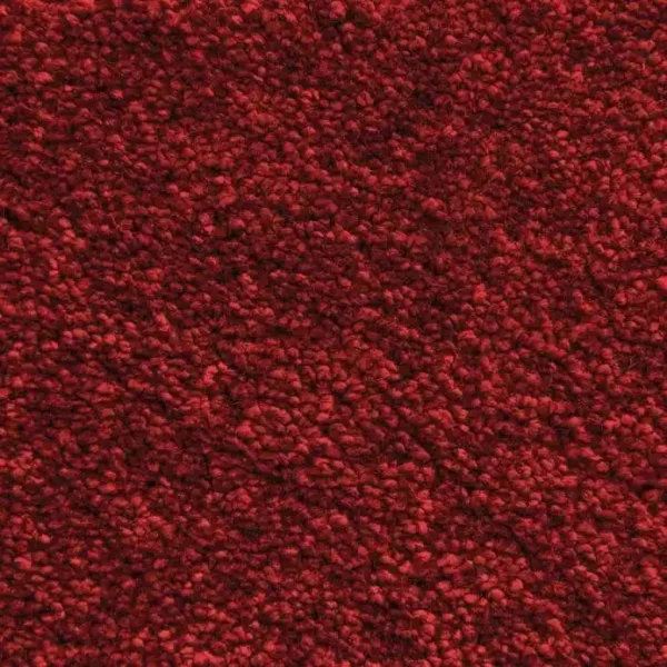 MS 020