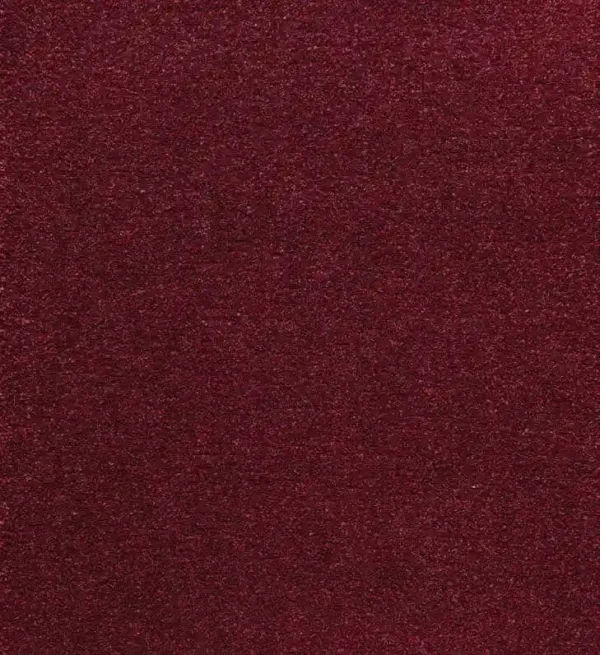 MS-2423
