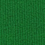 MS Taj-Green