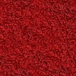 Red Carpet Provider in Dubai