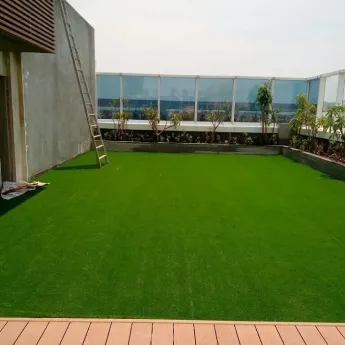 Backyard Grass