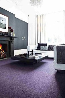 Best Purple carpets in dubai