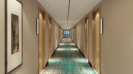 Elegent hallway Carpet