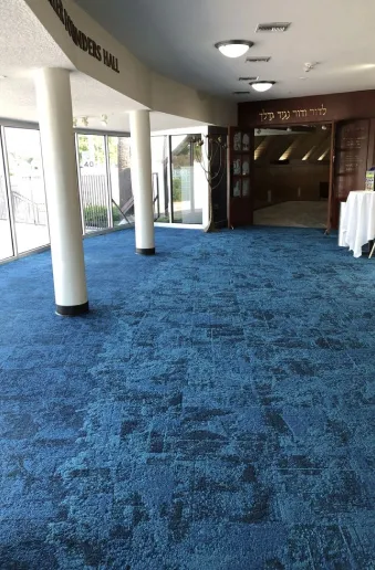 Explore Our Recent Carpe Blue Projects 9
