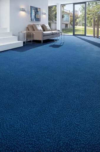 Explore Our Recent Carpe Blue Projects