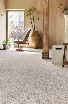 Iconic Beige Carpet 2