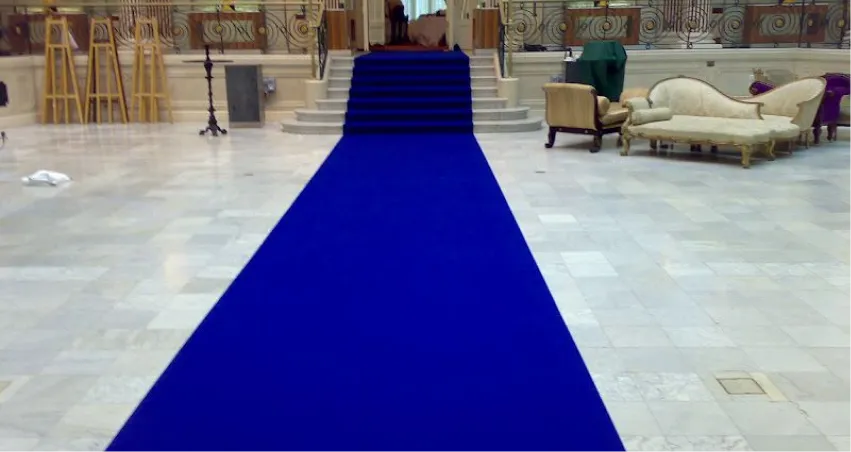 Our Custom Blue Carpet Flooring