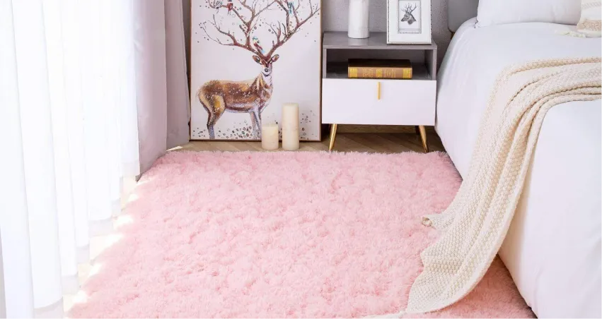 Perks Of Our Pink Carpets