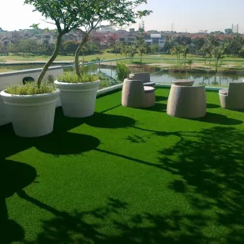 Terrace Grass