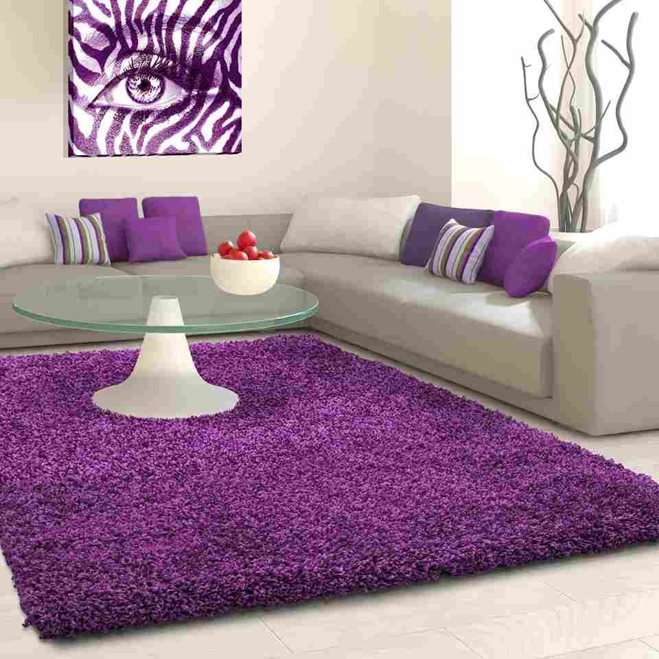 Triexta Purple Carpet