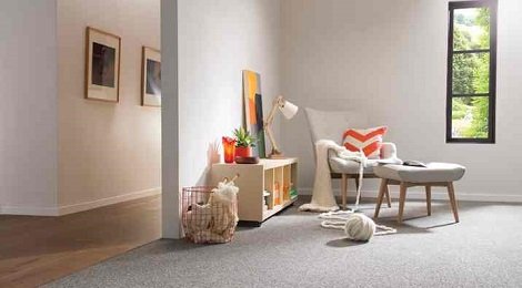 Wao Grey Carpet